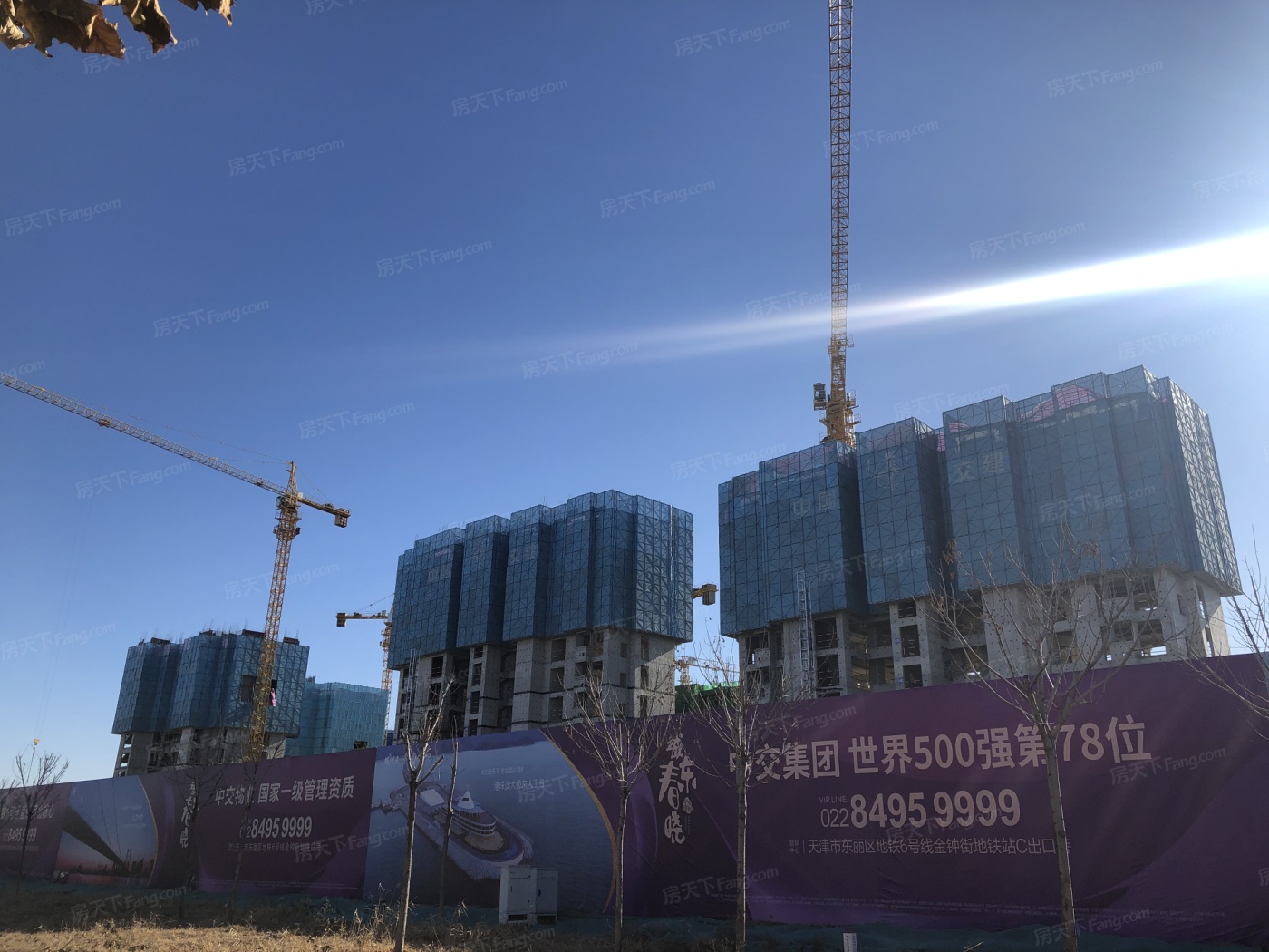 1652246751213211.jpg 14100x1050.jpg